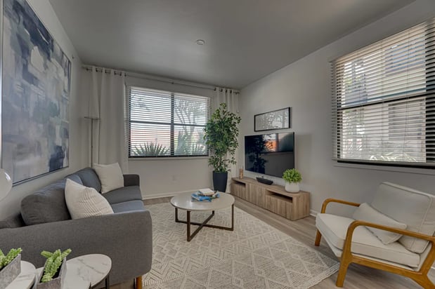 Images Vue Live Oak