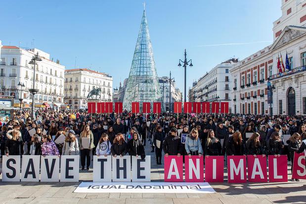 Images Animal Equality