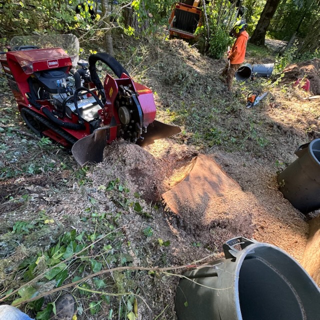 Images Alexa's Tree Service