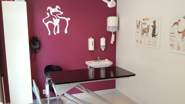 Images Fyra Ben Smådjursklinik