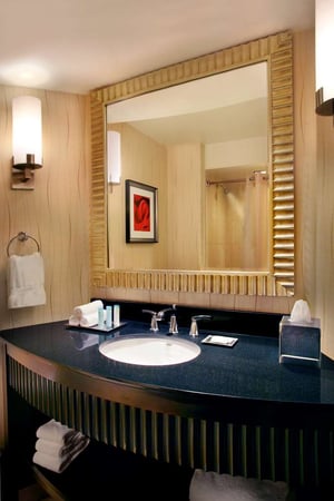 Images Hilton Rosemont/Chicago O'Hare