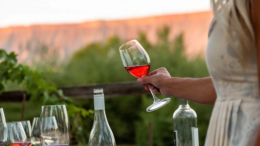 TWP Wine in glass held by woman by the estate vineyards