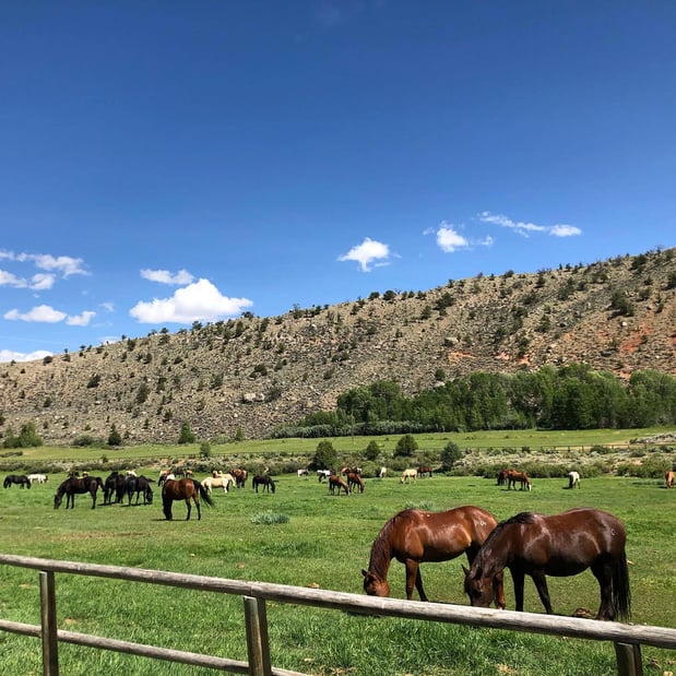 Images CM Ranch