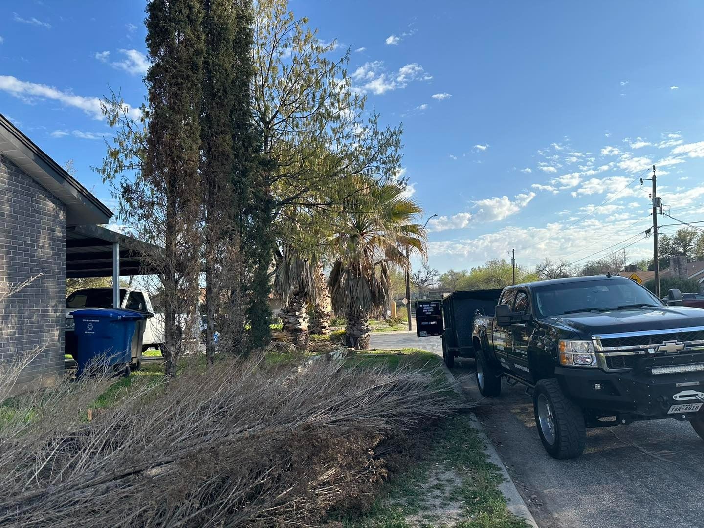 Jo’Se Tree Trimming & Lawn Care Image