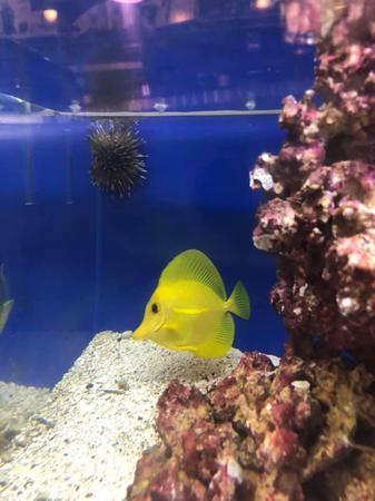 Images Frank's Pet Shop