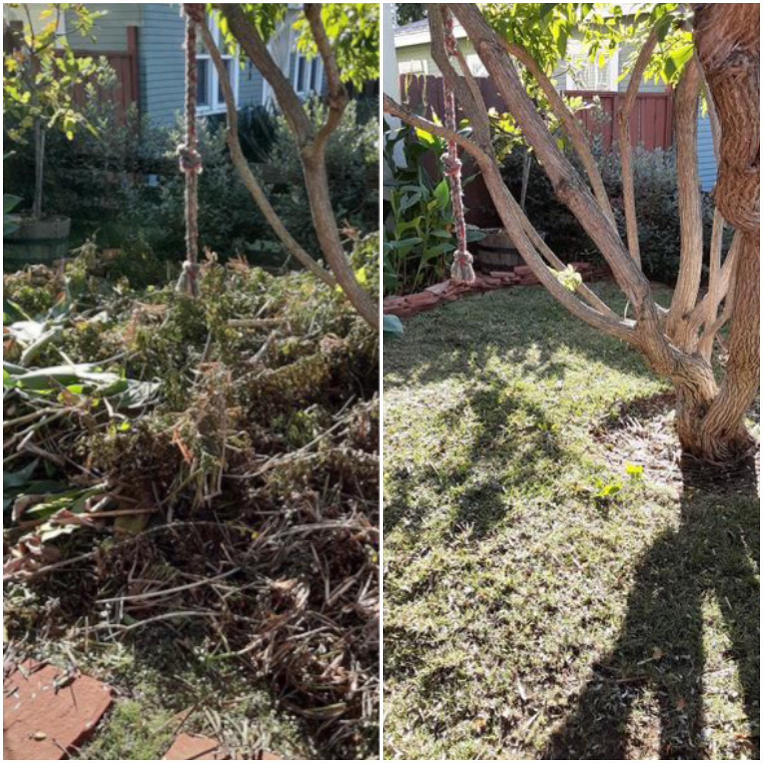 A before and after photo of a yard clean up. Our customer had their tree trimmed and Junk King was able to assist in the landscape debris removal.