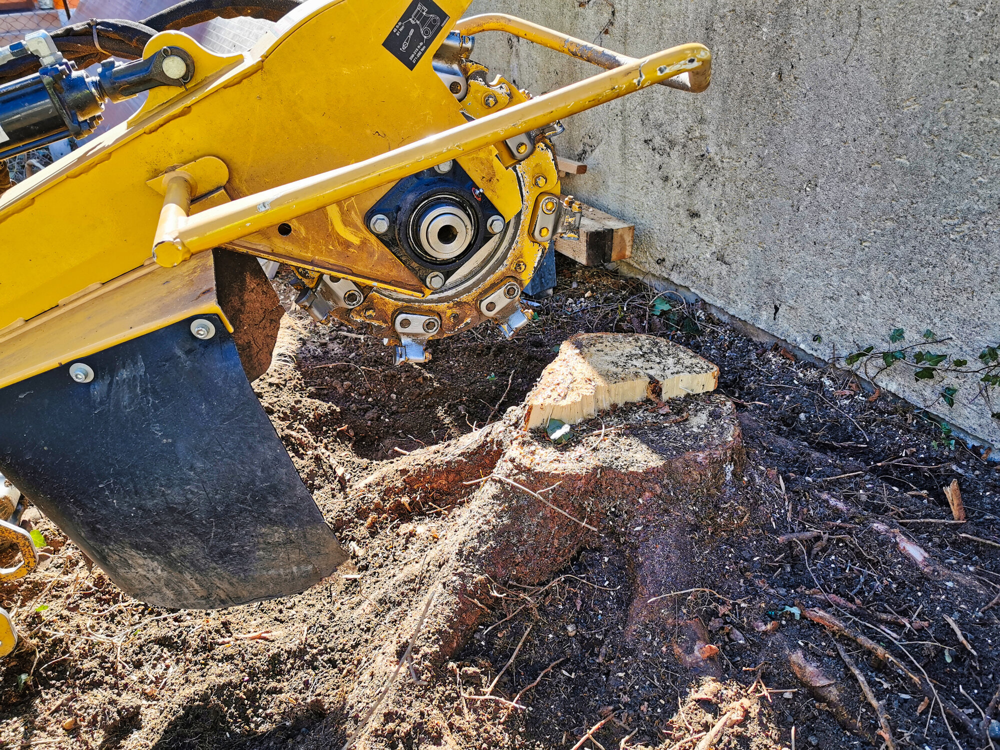 Baumstumpffräsen Tobias Baier, Mangfallstraße 16B in Bad Aibling