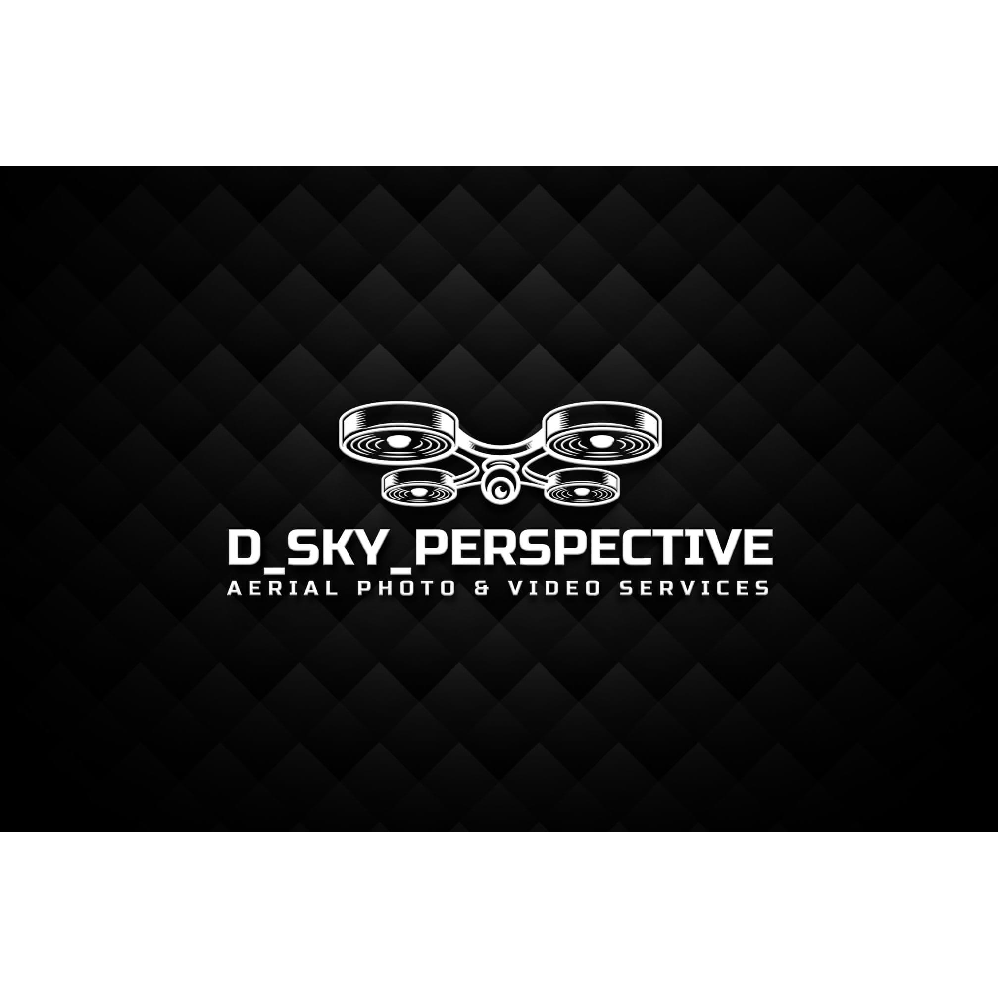 D Sky Perspective Logo