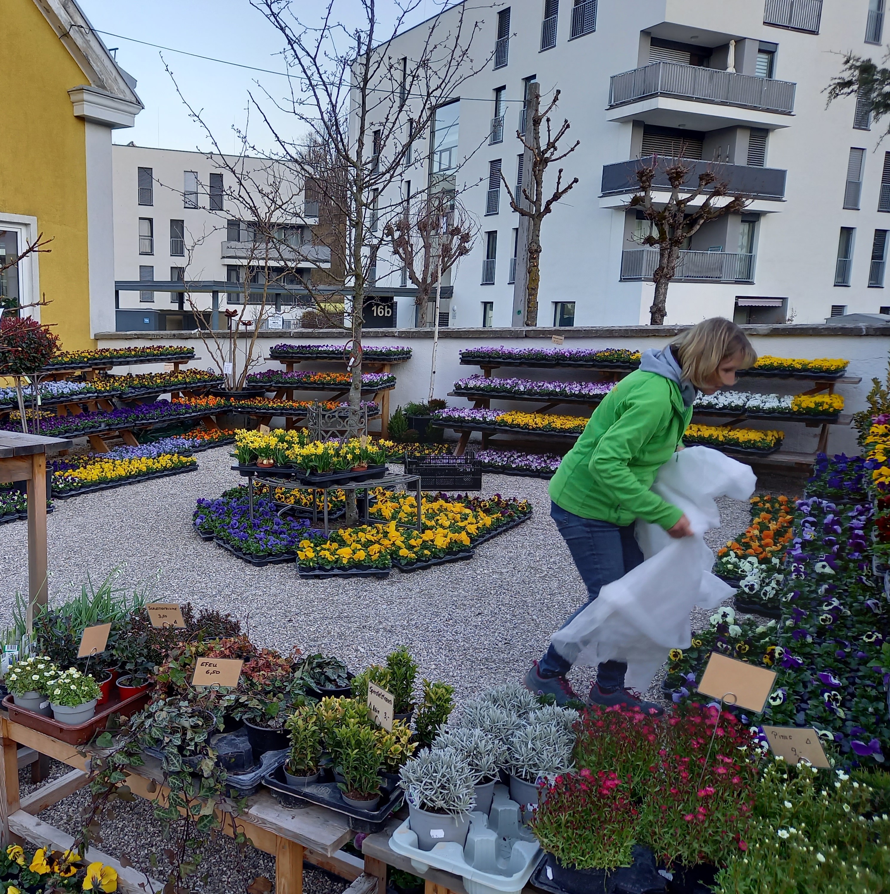 Bild 78 von Grün-Zone