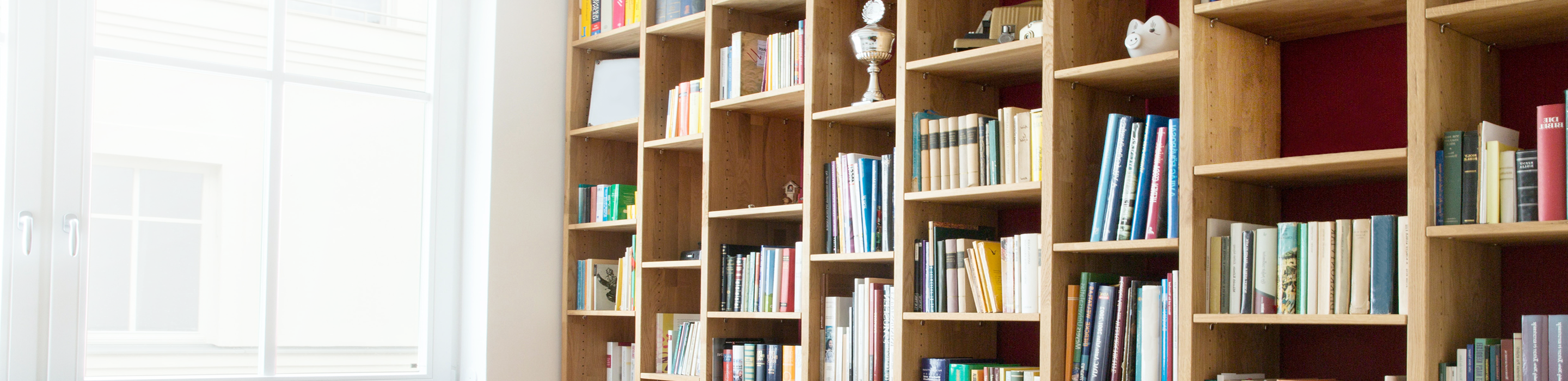 Books and various personal mementos neatly organized on a floor-to-ceiling shelving unit.