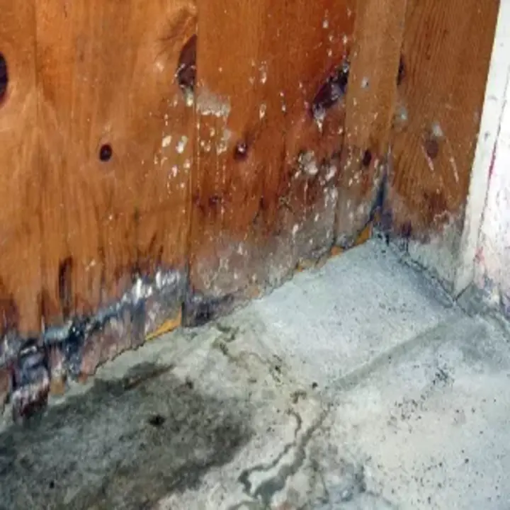 Images Safe Home Restoration