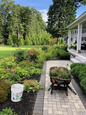 Images Greenleaf’s Garden Design