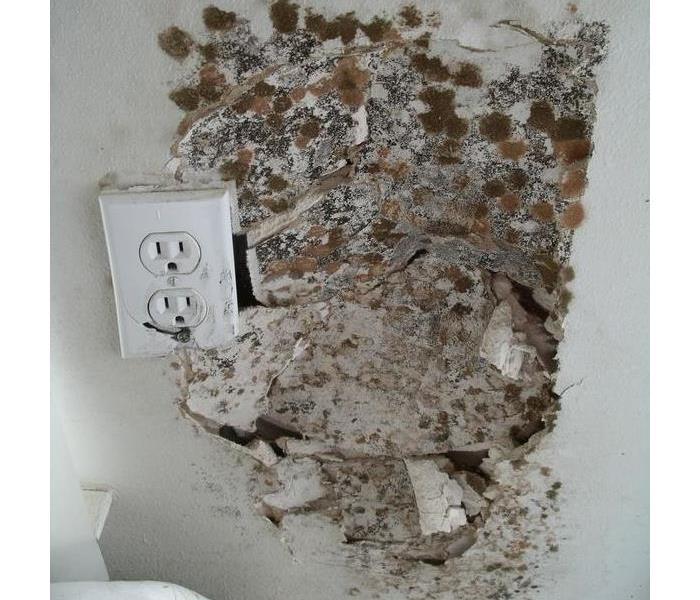 Mold Near Electrical Socket