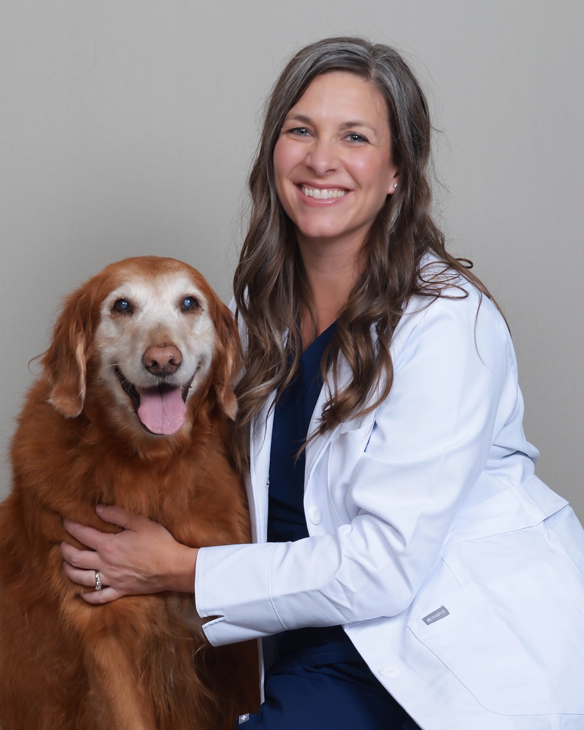 CityVet | Murphy Image