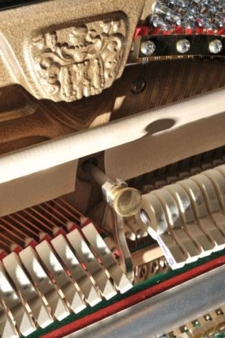 Images Pianoforti Papi