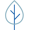 Leaf icon.