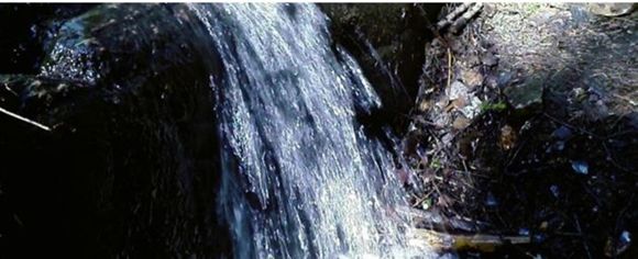 Images Lääkäri Koski Marja