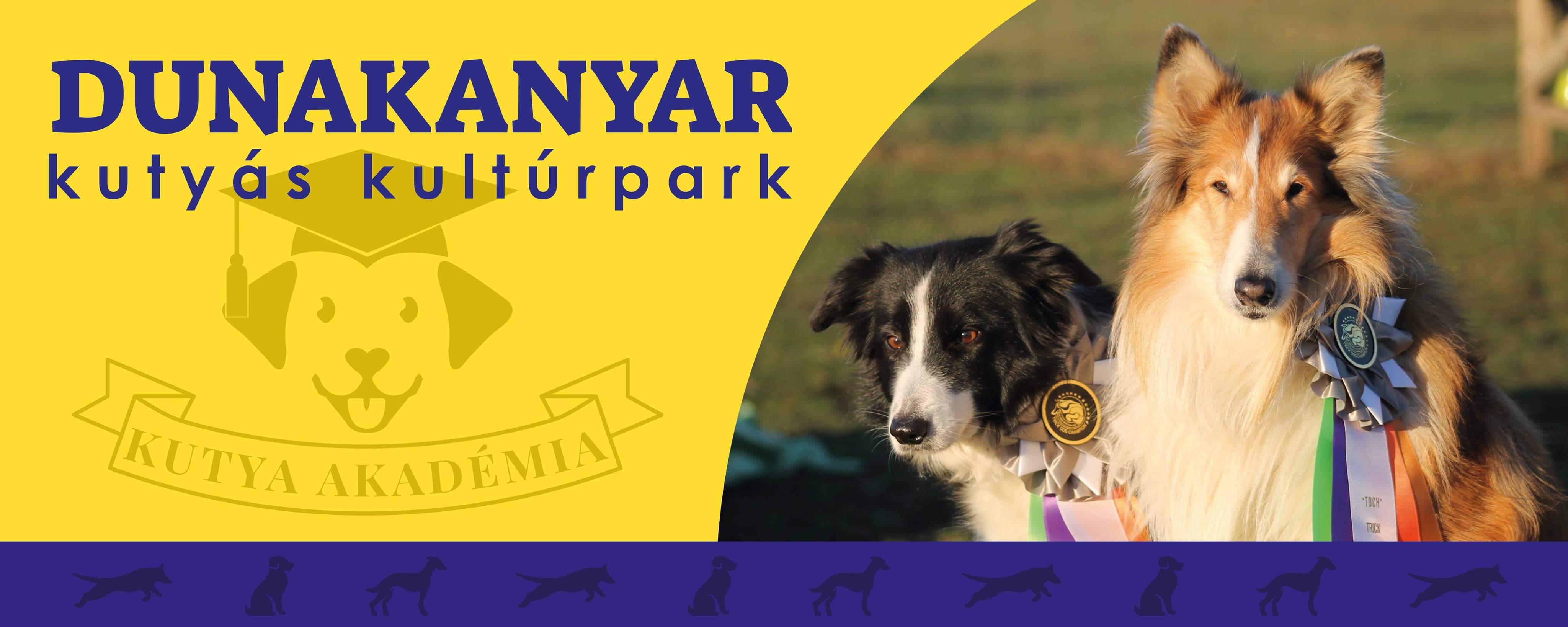 Images Dunakanyar Kutyás Kultúrpark-Kutya Agility