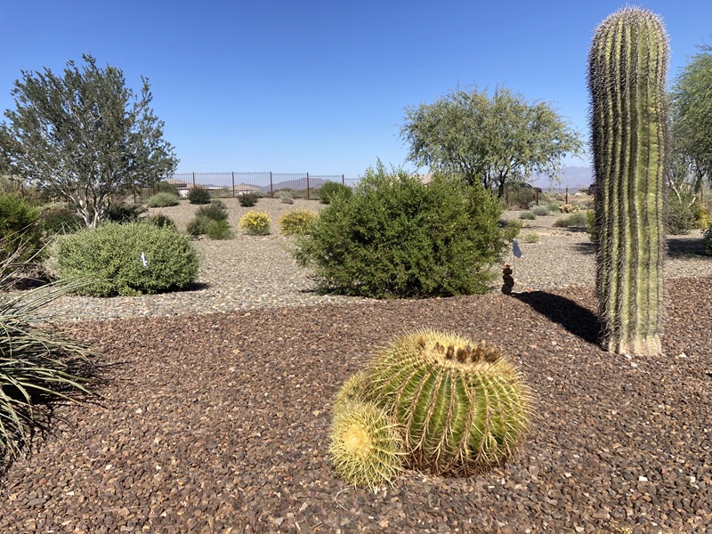 Invisible Fence® installed in Mesa, AZ