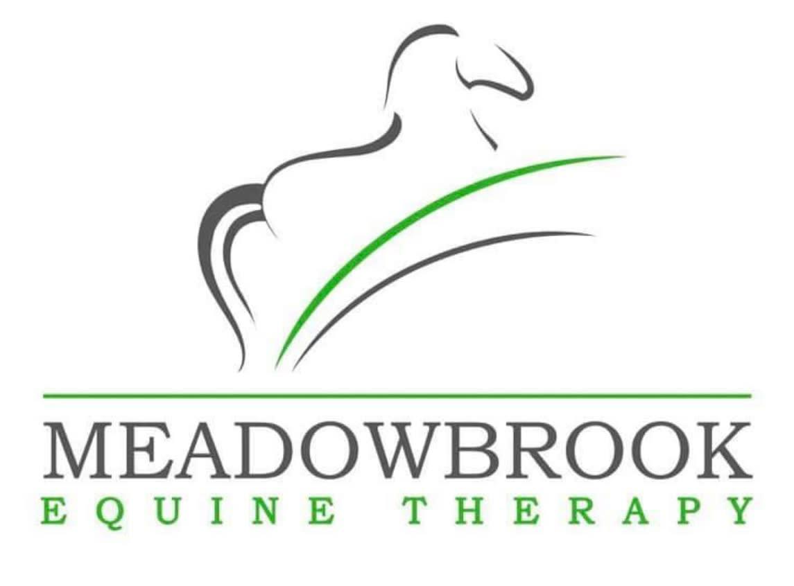 Images Meadowbrook Equine Therapy