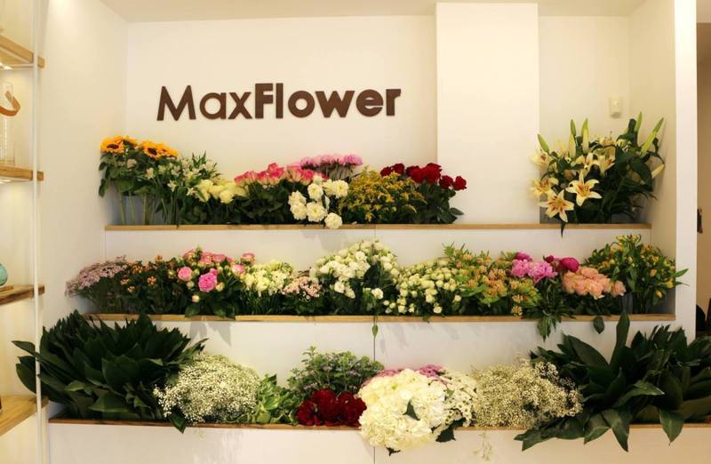 Images Max Flower