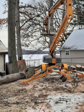 Images Paul's Tree Service