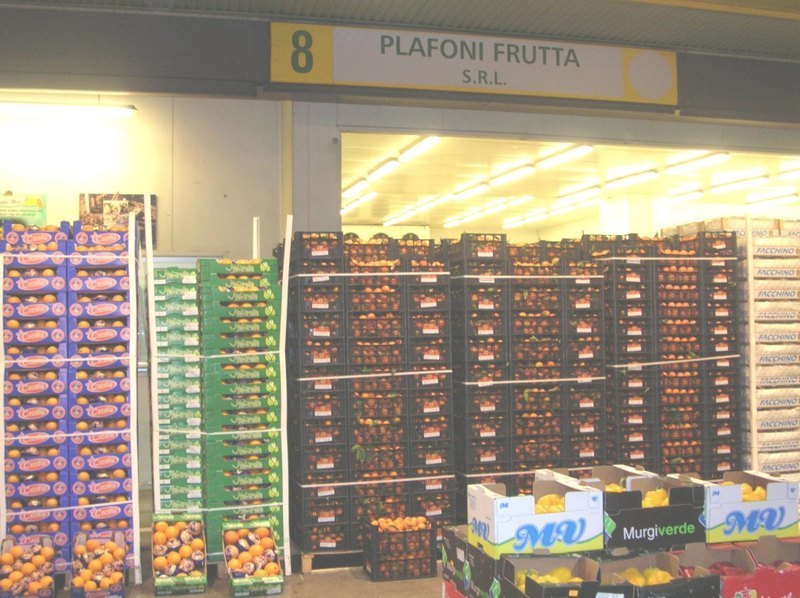 Images Plafoni Frutta S.r.l.