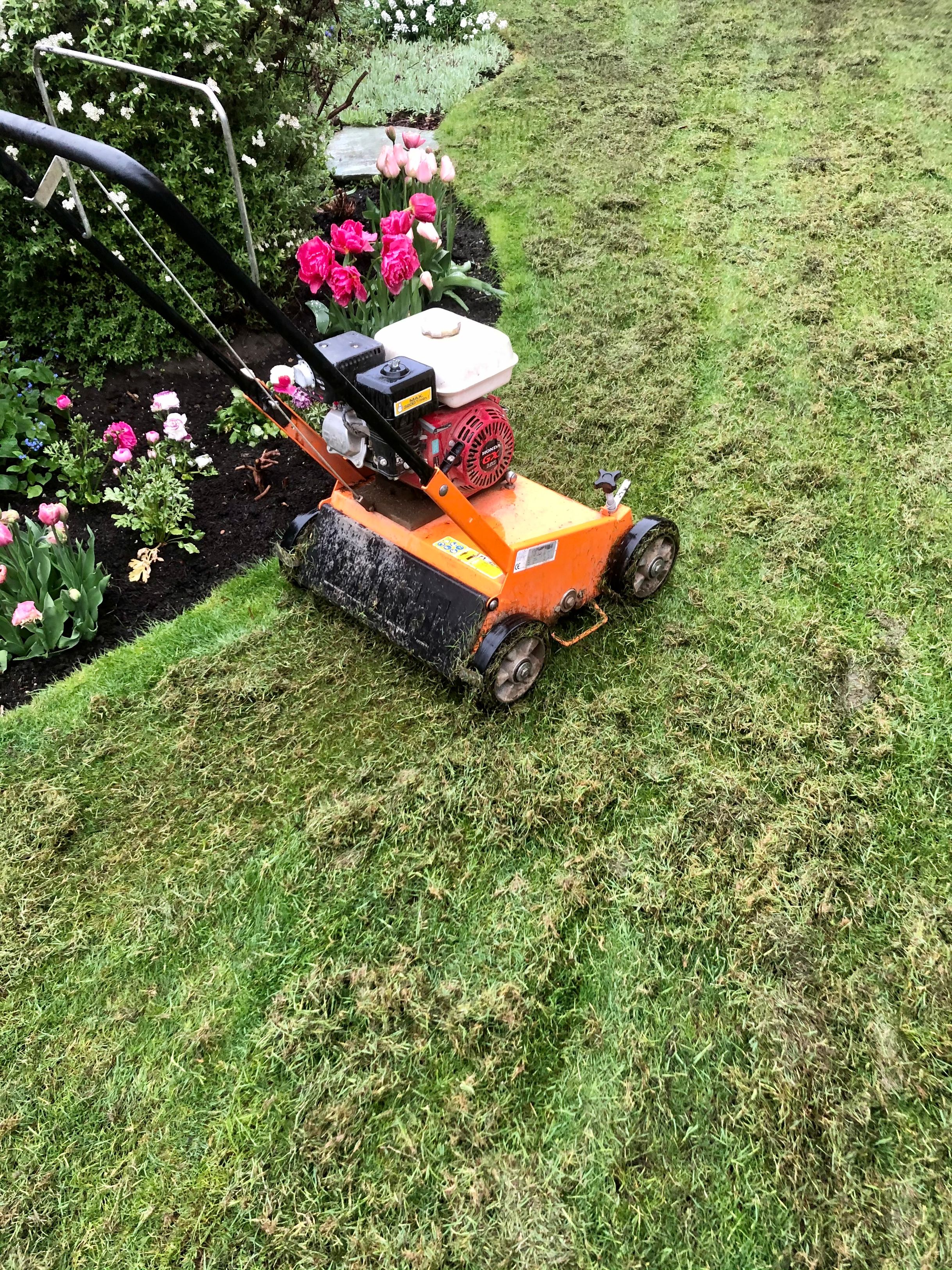 Bilder Royal Jardin sarl