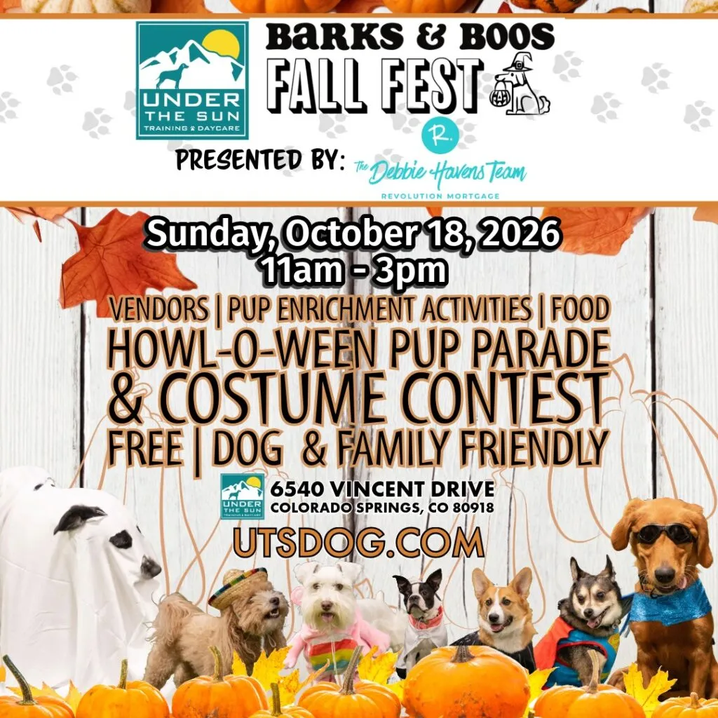 Image of Local Pet Event UTS Barks & Boos Fall Fest Nearby