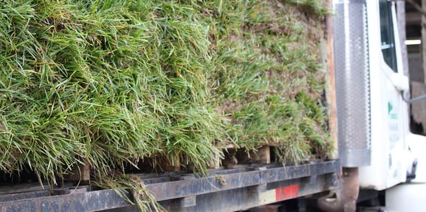 Images Sims Sod Farm