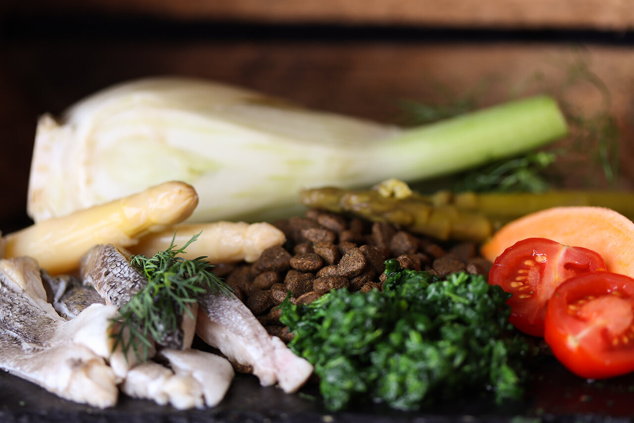 Bilder Green Pet Shop