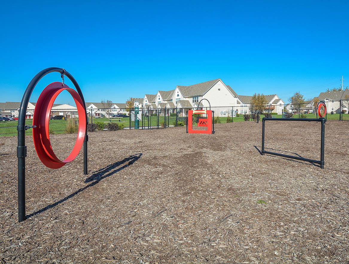 Fenced-In Agility Dog Park