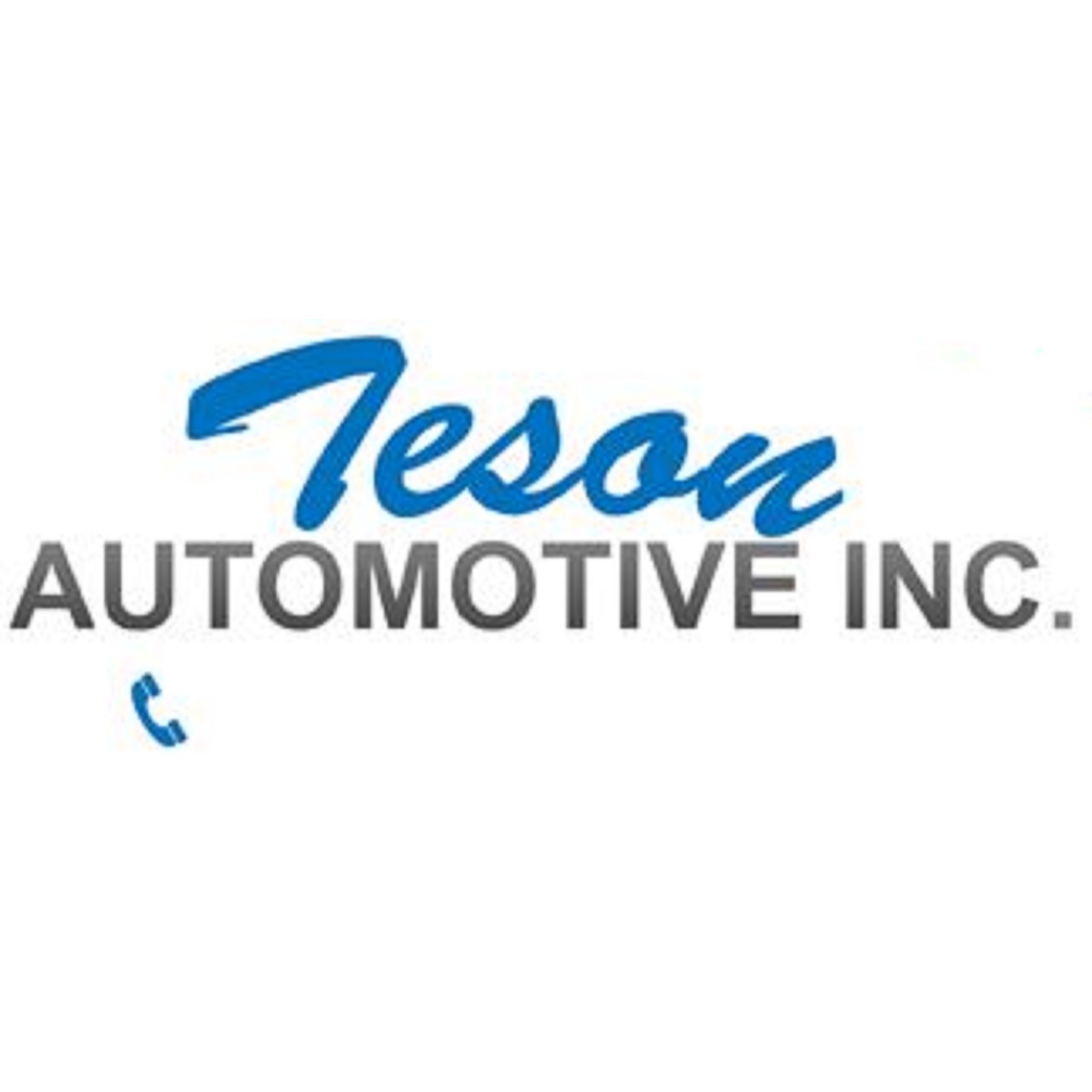 Teson Automotive Inc Logo