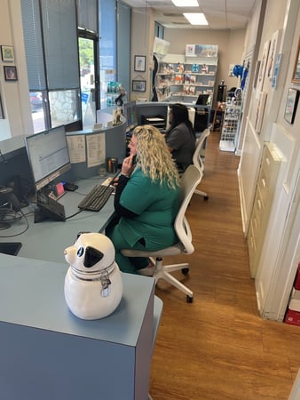 Images VCA Arbor Animal Hospital