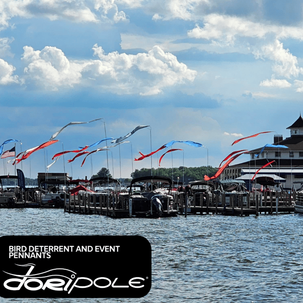 Images Consort Display Group