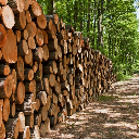 Images Spring Arbor Lumber & Home Center