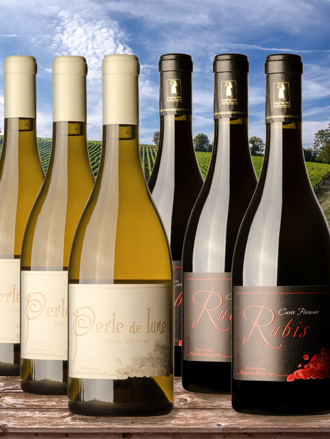 Bilder Gil Vins Trouvailles de France