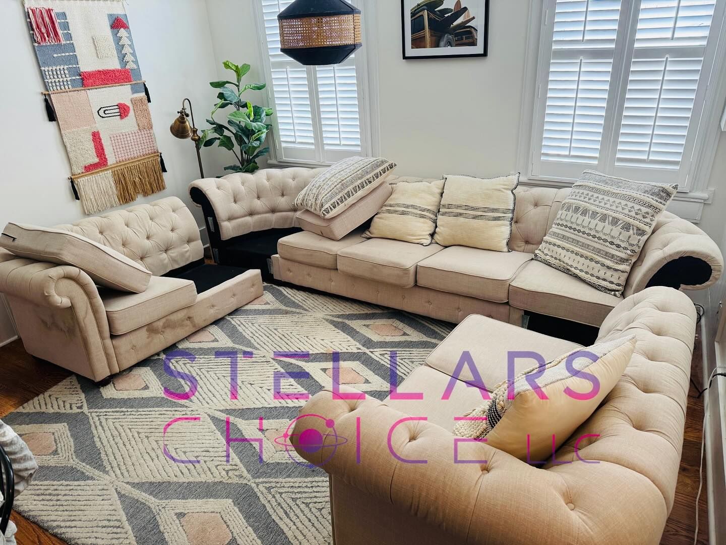 Stellars Choice Image