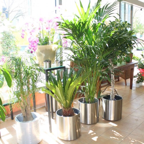 Gartencenter Jedlersdorf - Ing. Josef Hübel, Jedlersdorfer Straße 141 in Wien