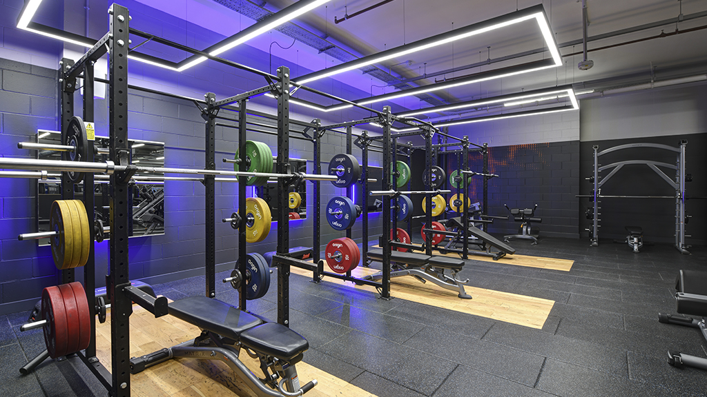 Free Weights Area