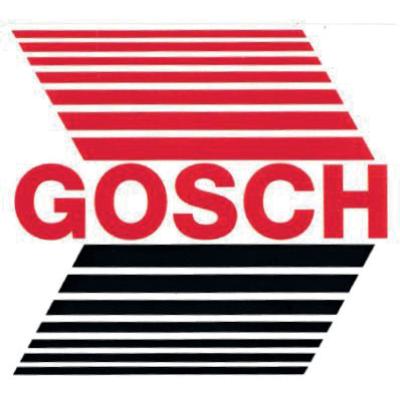 GOSCH GmbH & Co. KG in Remptendorf - Logo