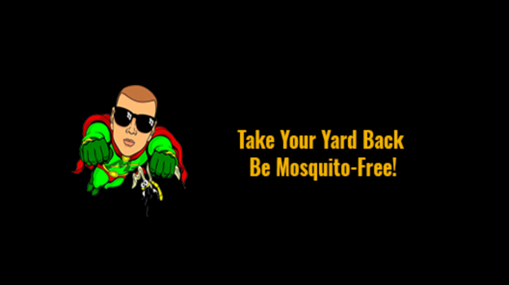 The Mosquito Guy