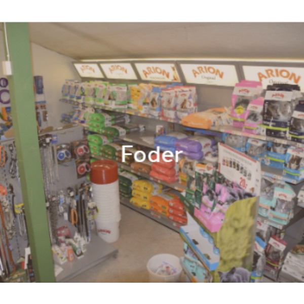 Images Sibiriens Specialfoder