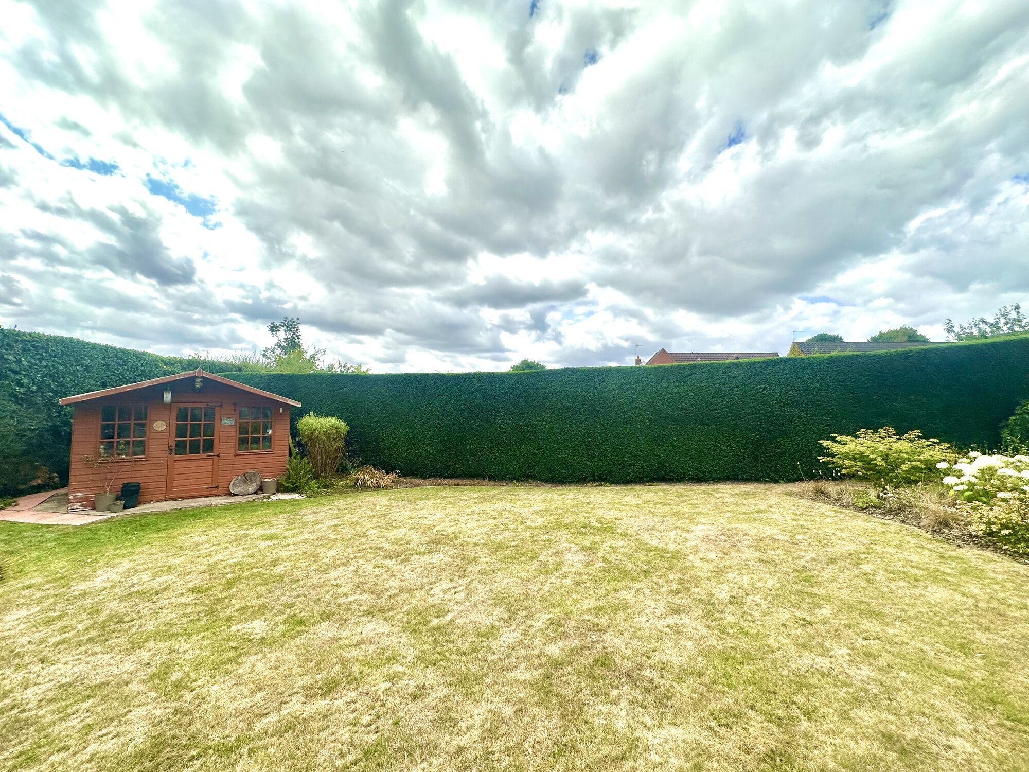 Images Trident Tree Solutions Ltd.