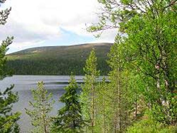 Images Enontekiön Yhteismetsä