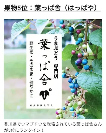 Images 葉っぱ舎－HAPPAYA