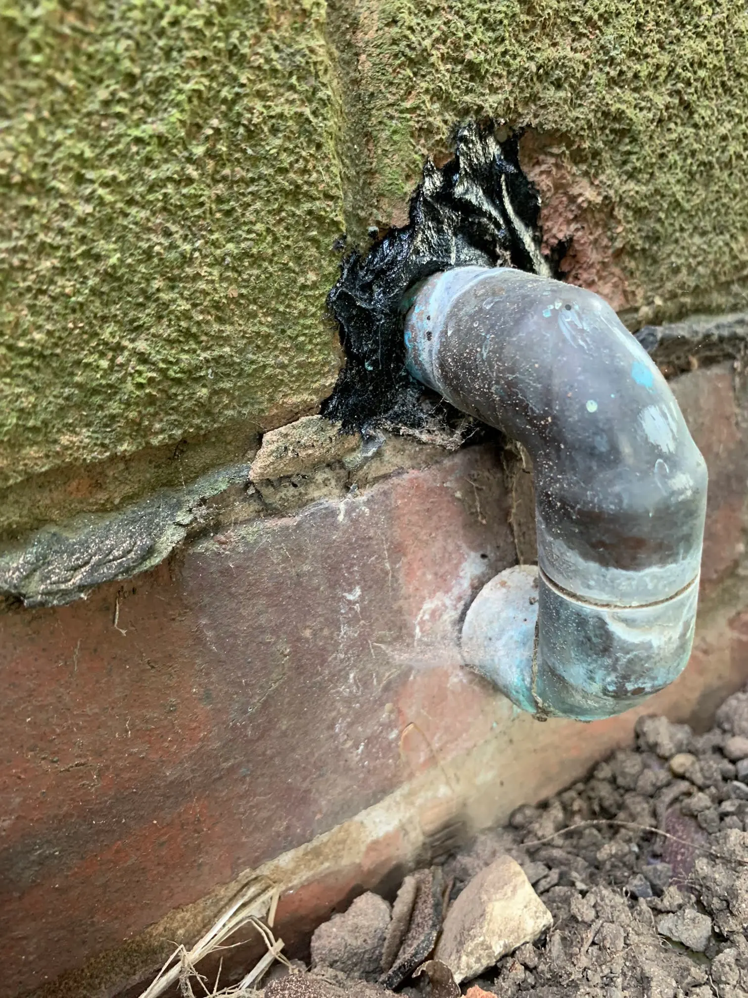 Images Damp Detectives