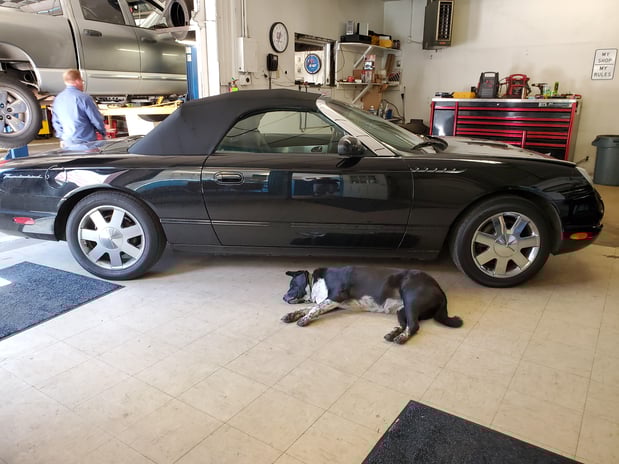 Images Evan's Auto Care - Car and Truck Repair