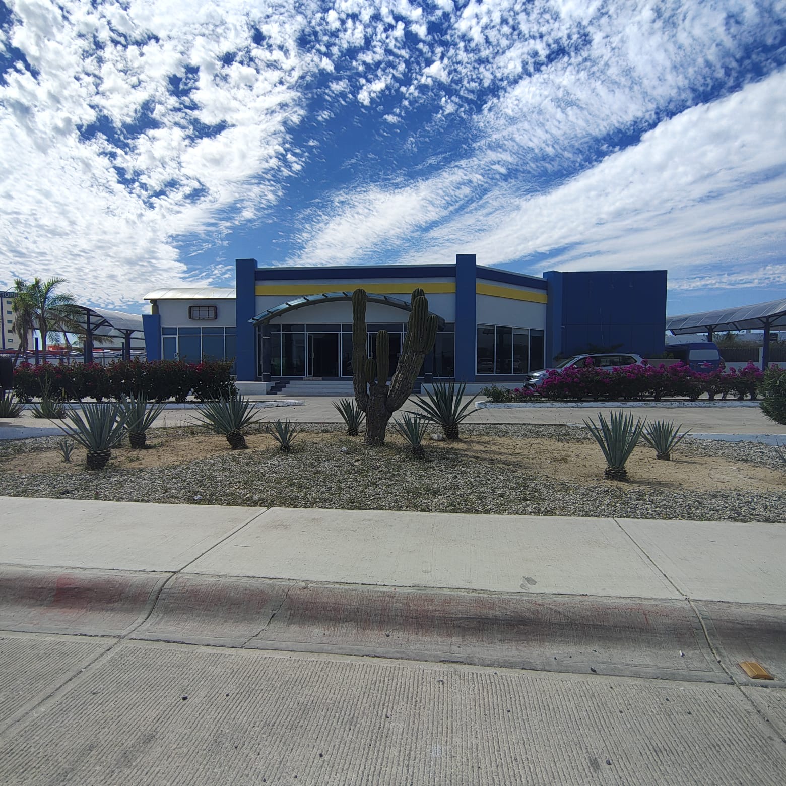 Galería en miniatura