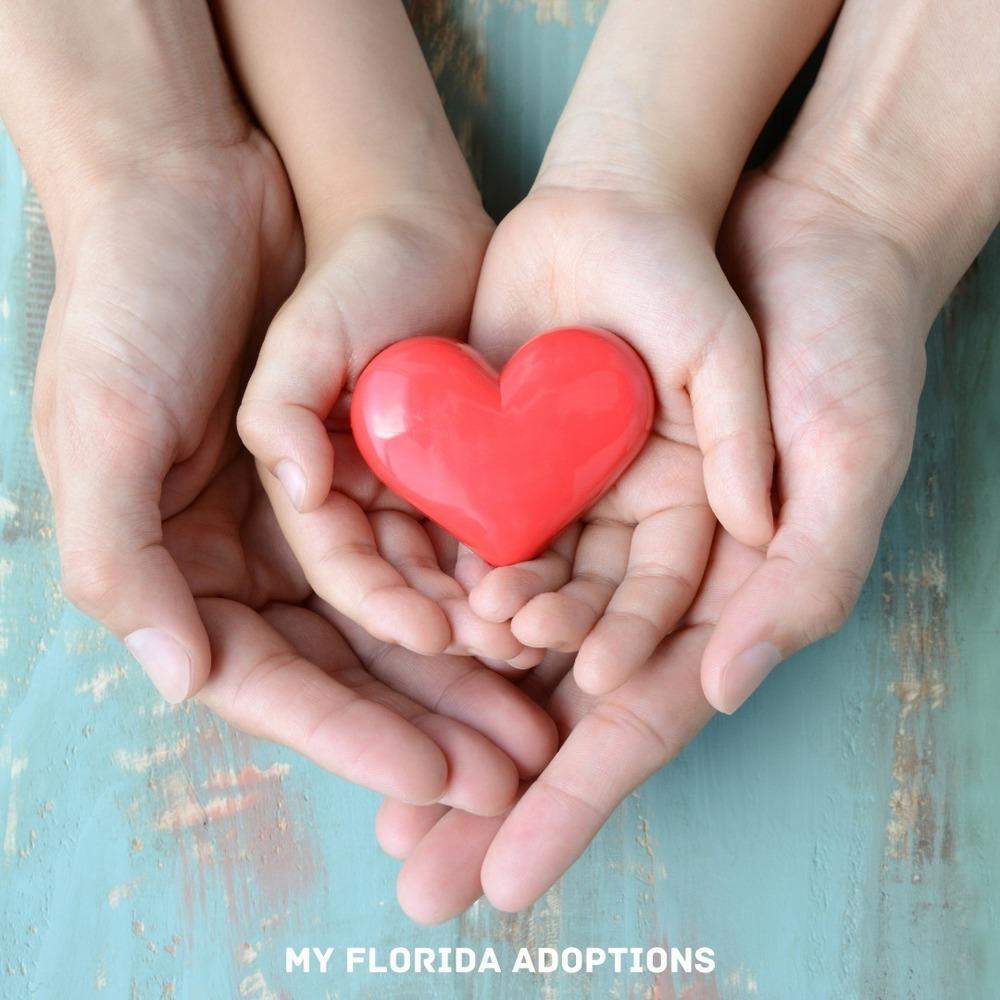 My Florida Adoptions Tampa - Tampa, FL 33607 - (813)567-0277 | ShowMeLocal.com